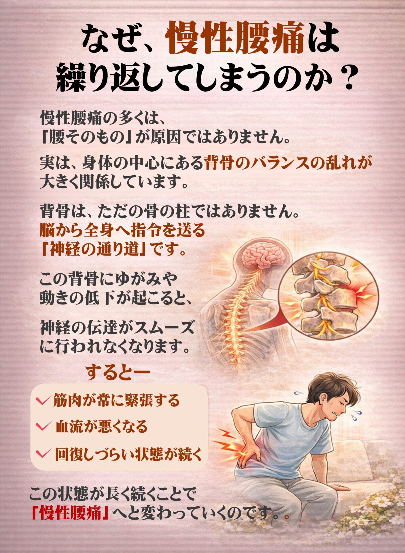 なぜ慢性腰痛は繰り返してしまうのか？  慢性腰痛の多くは、
「腰そのもの」が原因ではありません。  実は、体の中心にある背骨のバランスの乱れが大きく関係しています。  背骨は、ただの“骨の柱”ではありません。
脳から全身へ指令を送る「神経」の通り道です。  この背骨にゆがみや動きの低下が起こると、
神経の伝達がスムーズに行われなくなります。  すると――  ✔筋肉が常に緊張する
✔血流が悪くなる
✔回復しづらい状態が続く  この状態が長く続くことで、
「慢性腰痛」へと変わっていくのです。